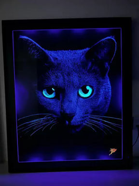 Quadro CAT EYES Luminicente Recarregável